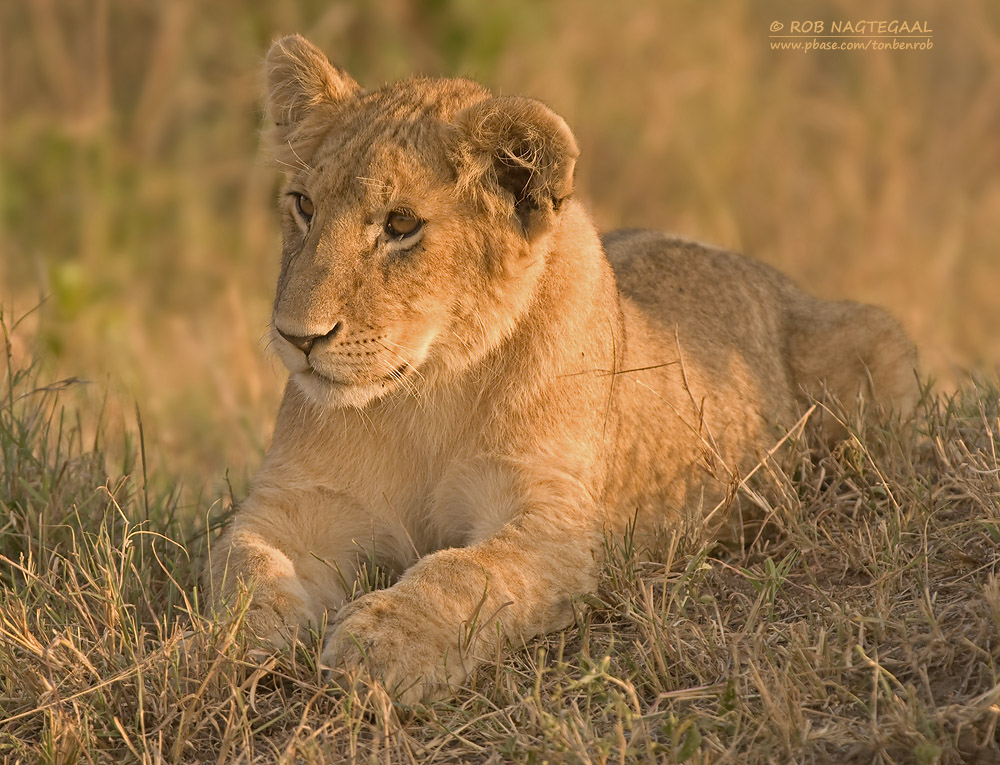 Serengeti National Park