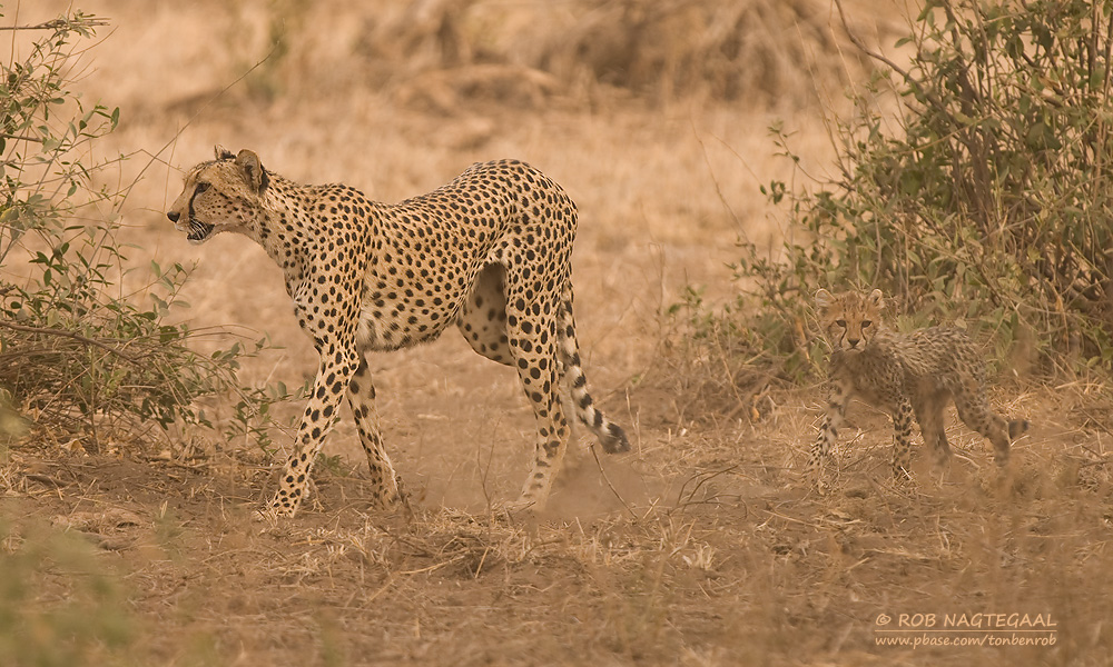 Serengeti National Park