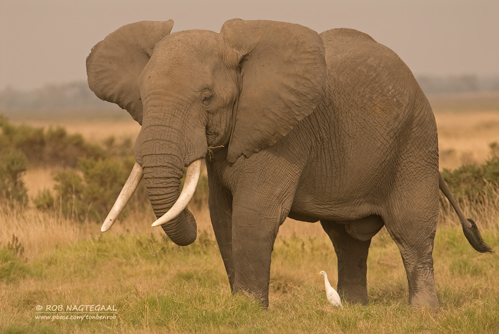 Tarangire National Park 