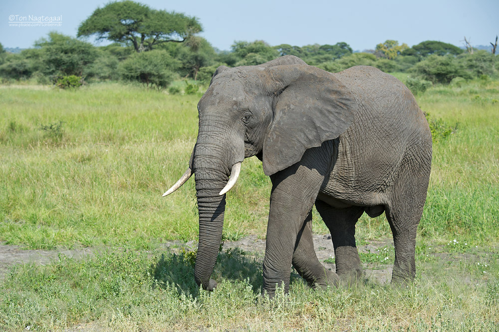 visit Selous National Park