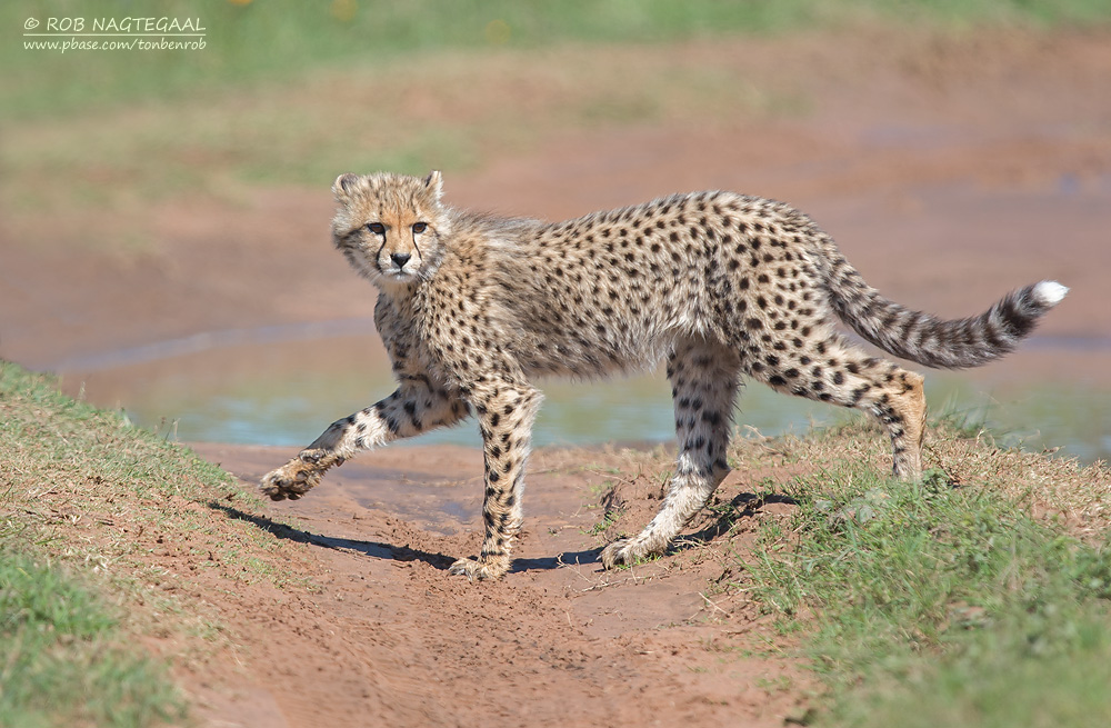 Amboseli National Park