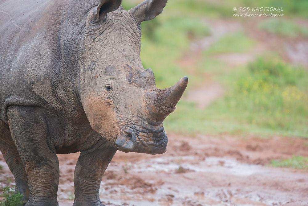 6-Day Best of Kenya Safari
