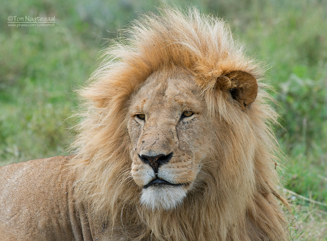 Queen Elizabeth National Park 