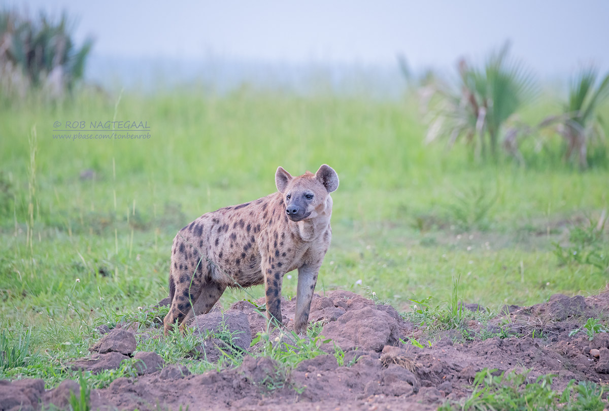 Kidepo Valley National Park