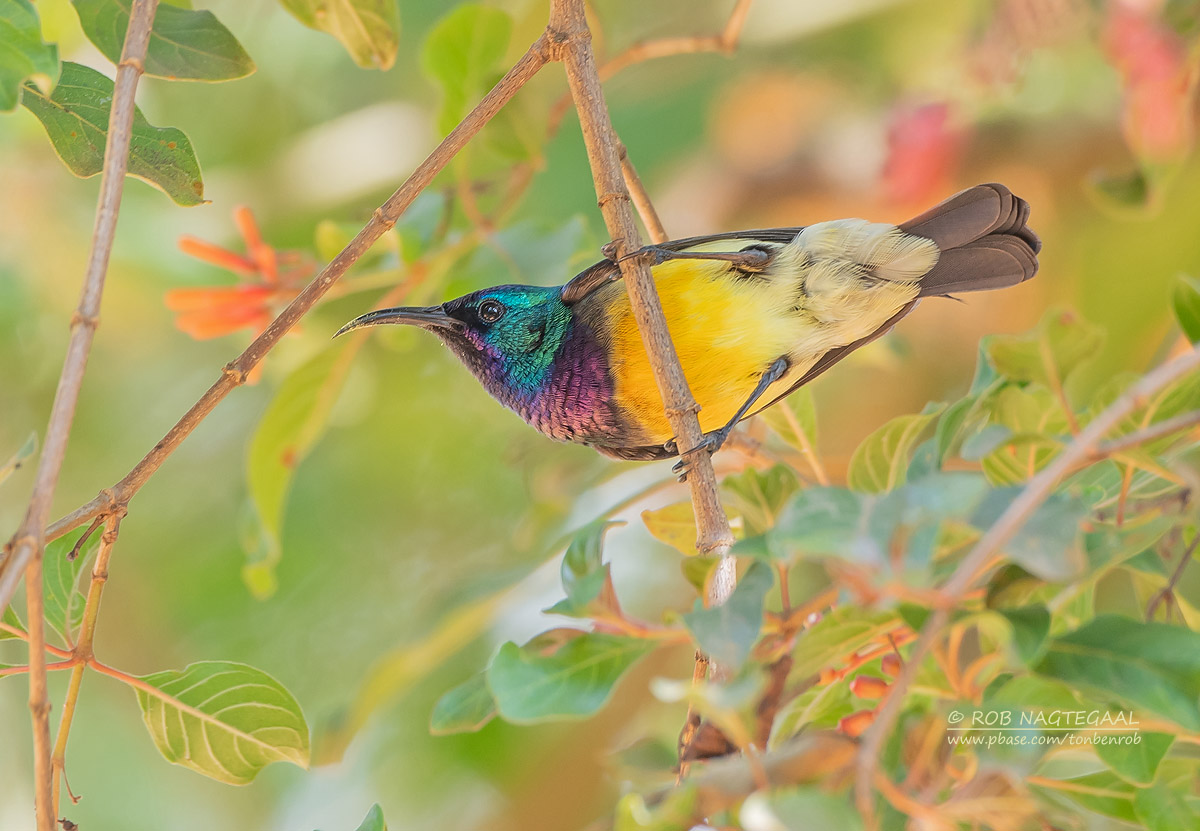 Lake Mburo National Park 