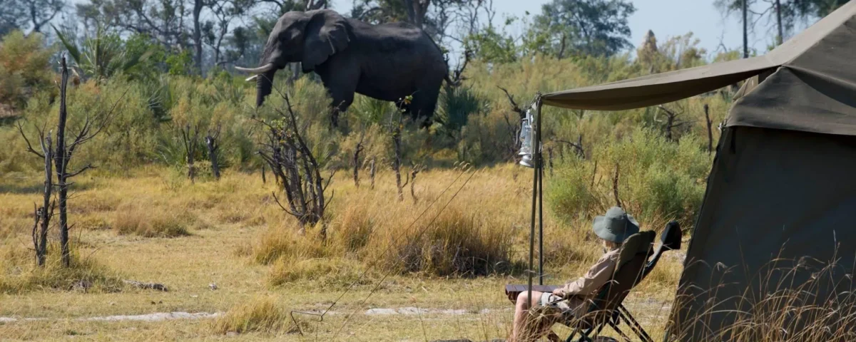 Africa Safari Experiences