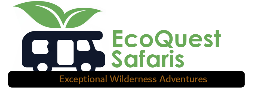 EcoQuest Safaris