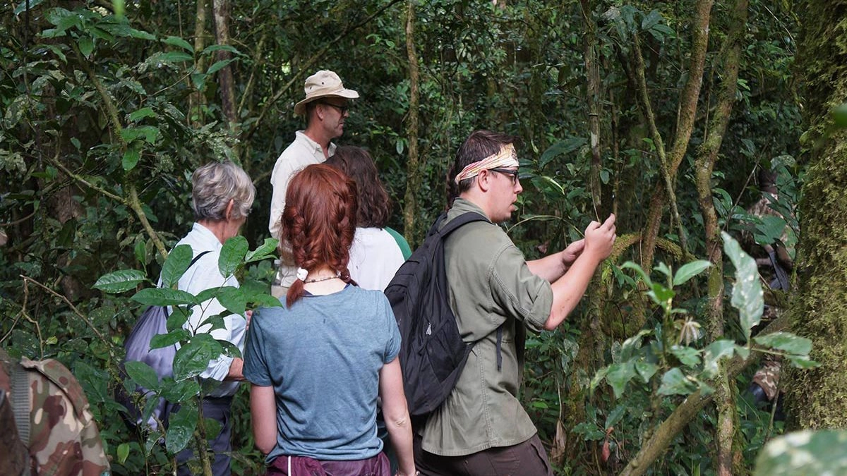 Bwindi Impenetrable National Park