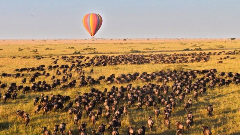 Kenya Hot Air Balloon Safaris