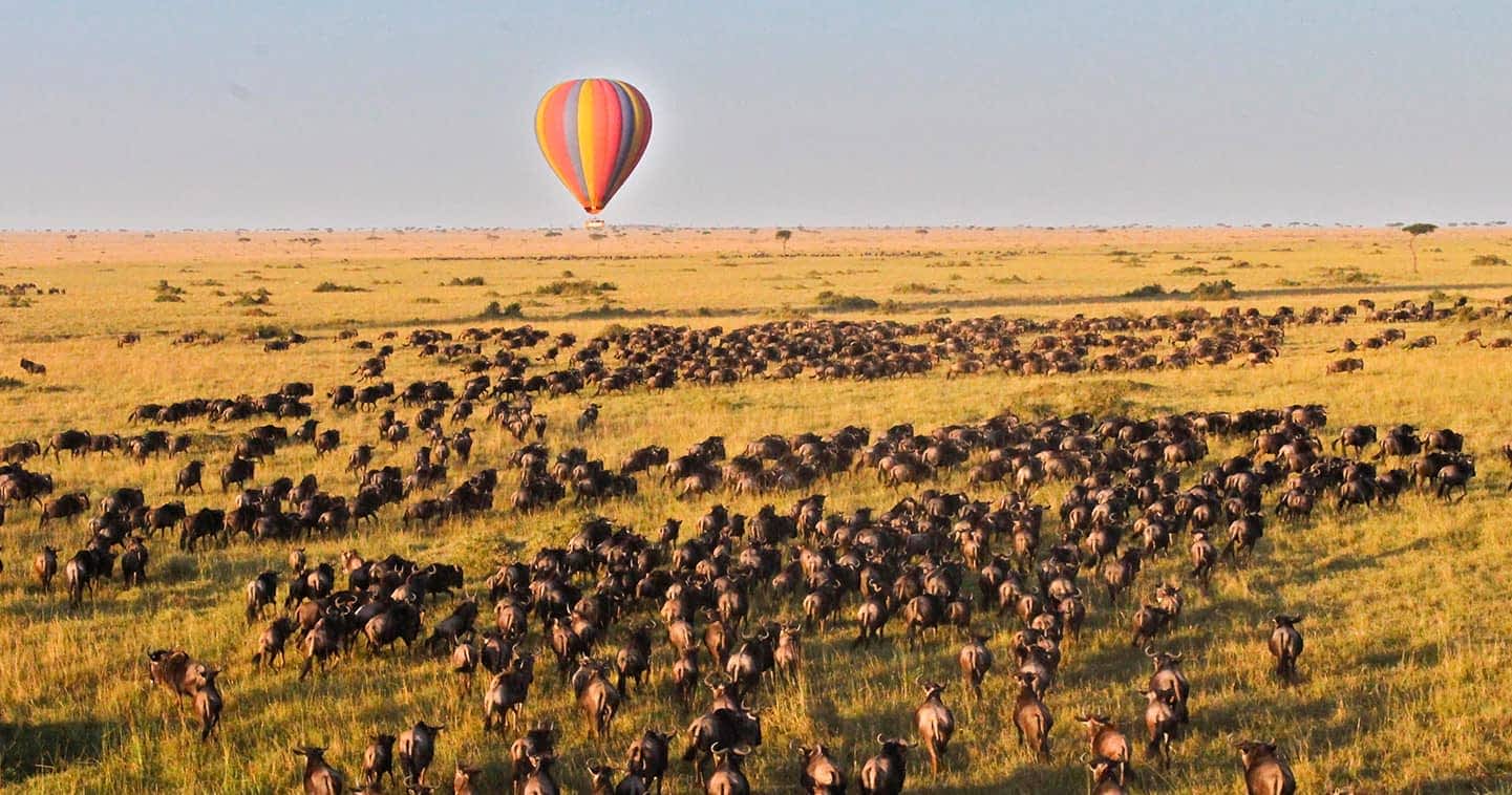 Kenya Hot Air Balloon Safaris