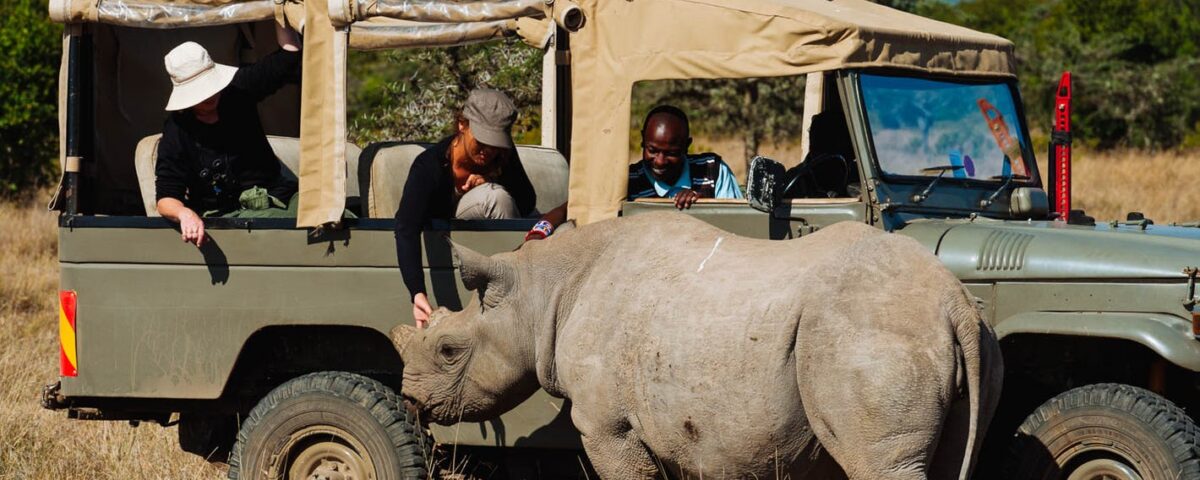 Kenya Student Safaris