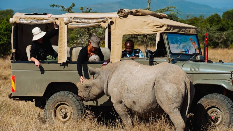 Kenya Student Safaris