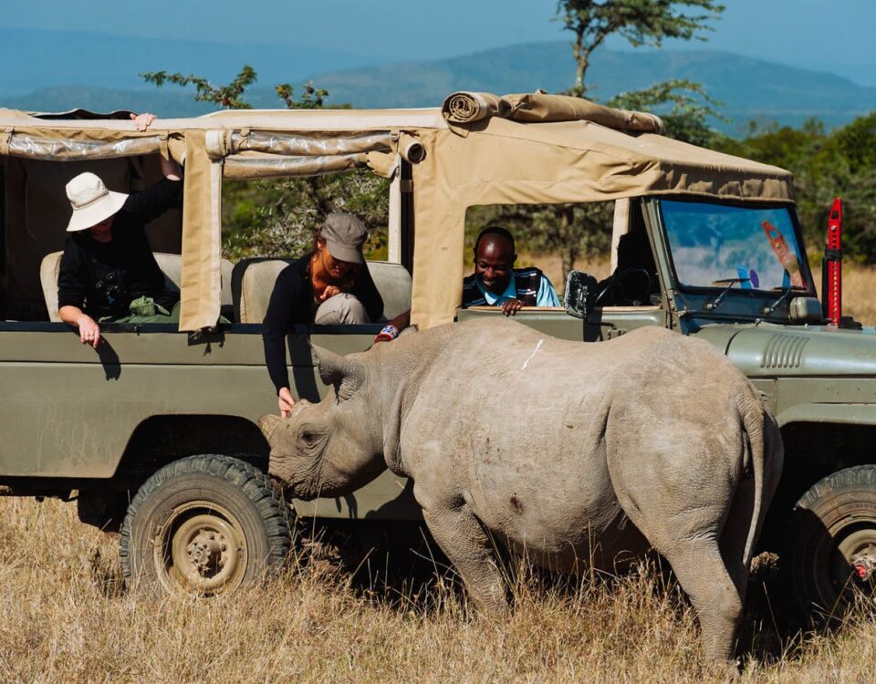 Kenya Student Safaris