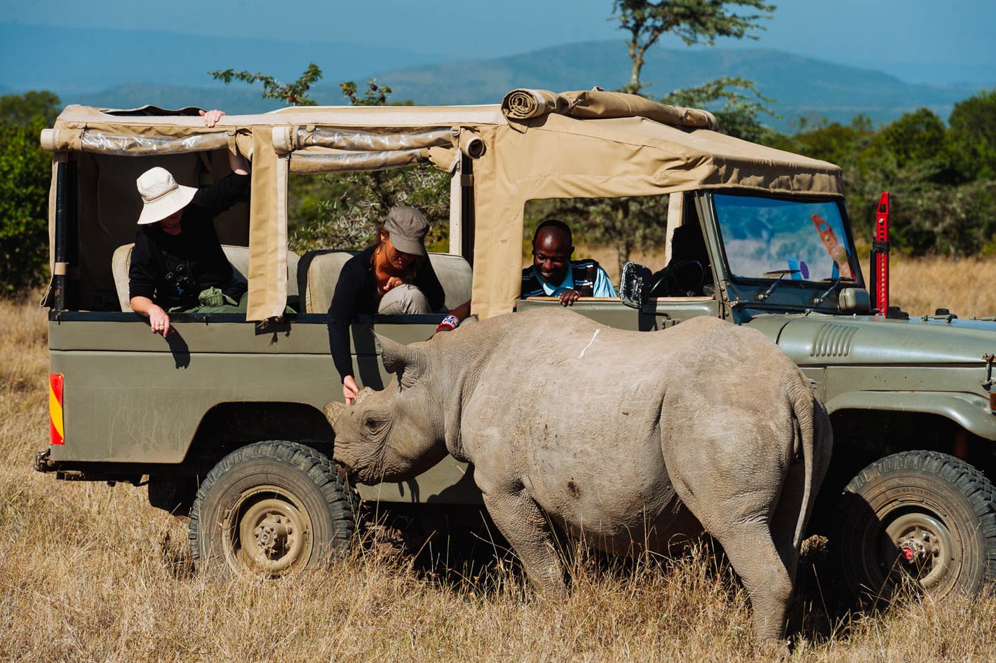 Kenya Student Safaris