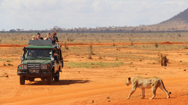 Lake Naivasha National Park