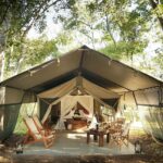 Kenya camping safaris