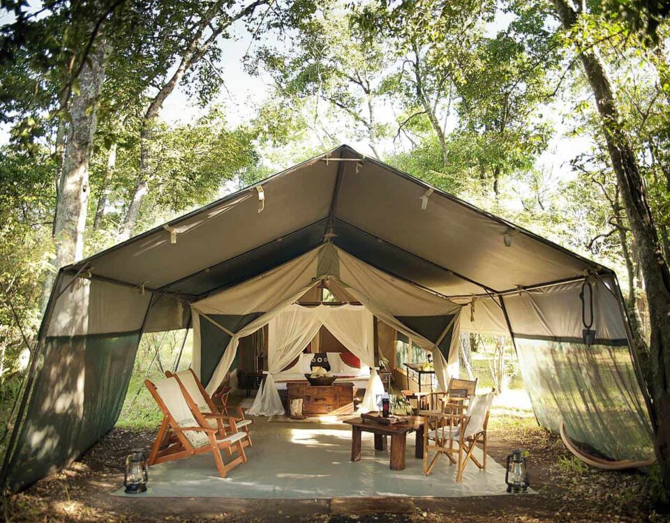 Kenya camping safaris