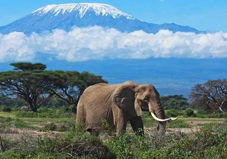 Climbing Kilimanjaro in Tanzania