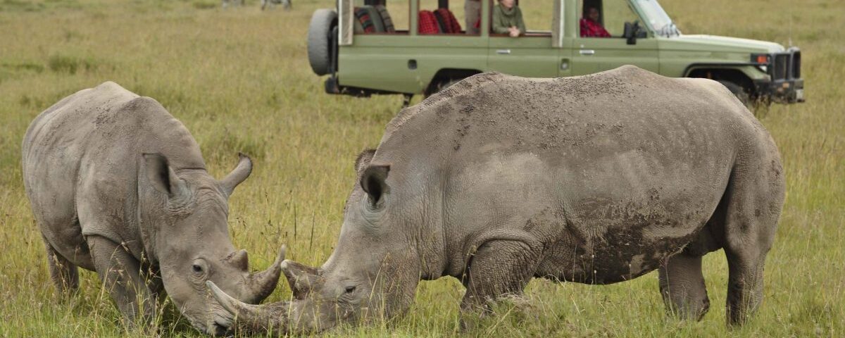Ol Pejeta Wildlife Conservancy
