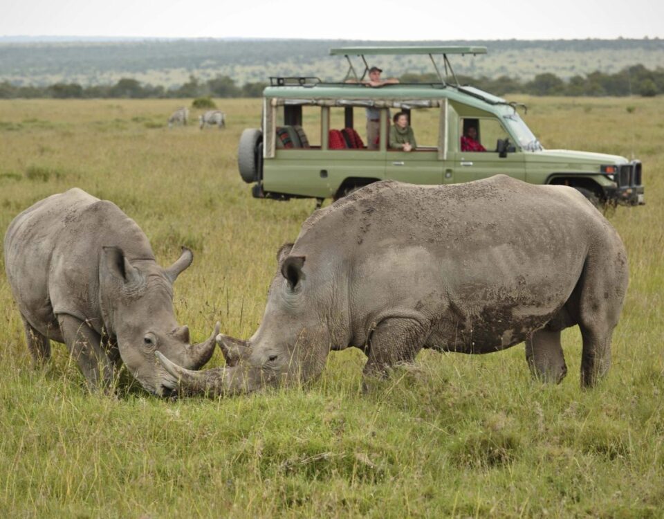 Ol Pejeta Wildlife Conservancy