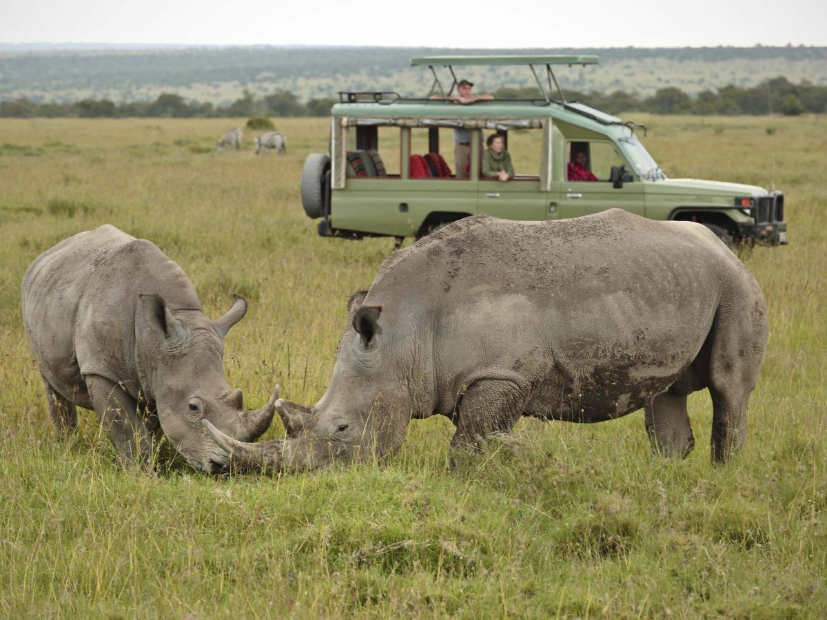 Ol Pejeta Wildlife Conservancy