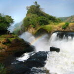 When is the Best Time to Visit Murchison Falls National Park?
