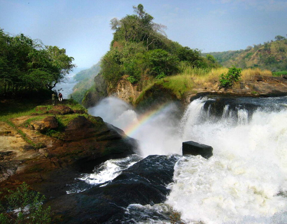 When is the Best Time to Visit Murchison Falls National Park?