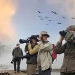 Best Birding Spots in Uganda