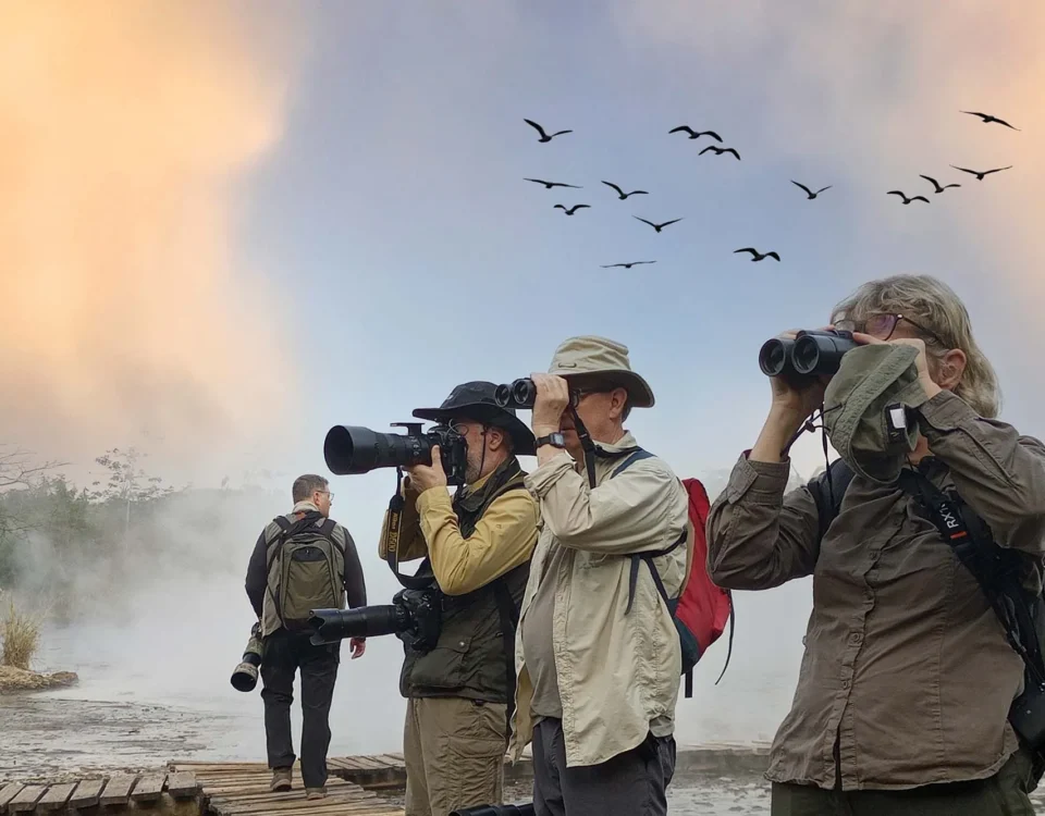 Best Birding Spots in Uganda