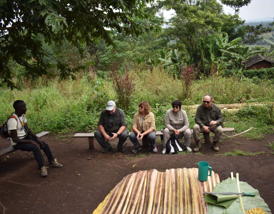 Learn Traditional Banana Beer Brewing in Bigodi