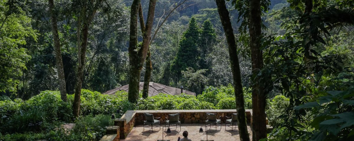 Where Can I Stay Near Bwindi Impenetrable Forest?