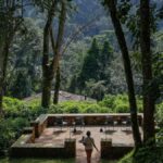 Where Can I Stay Near Bwindi Impenetrable Forest?
