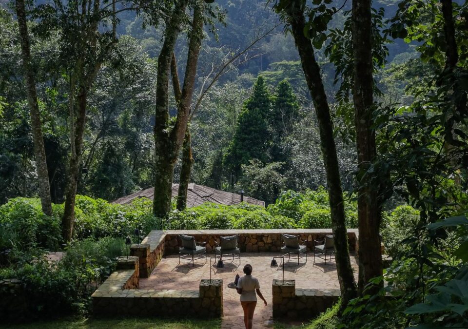 Where Can I Stay Near Bwindi Impenetrable Forest?