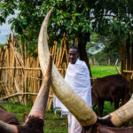 Cultural Experience in Ankole Region