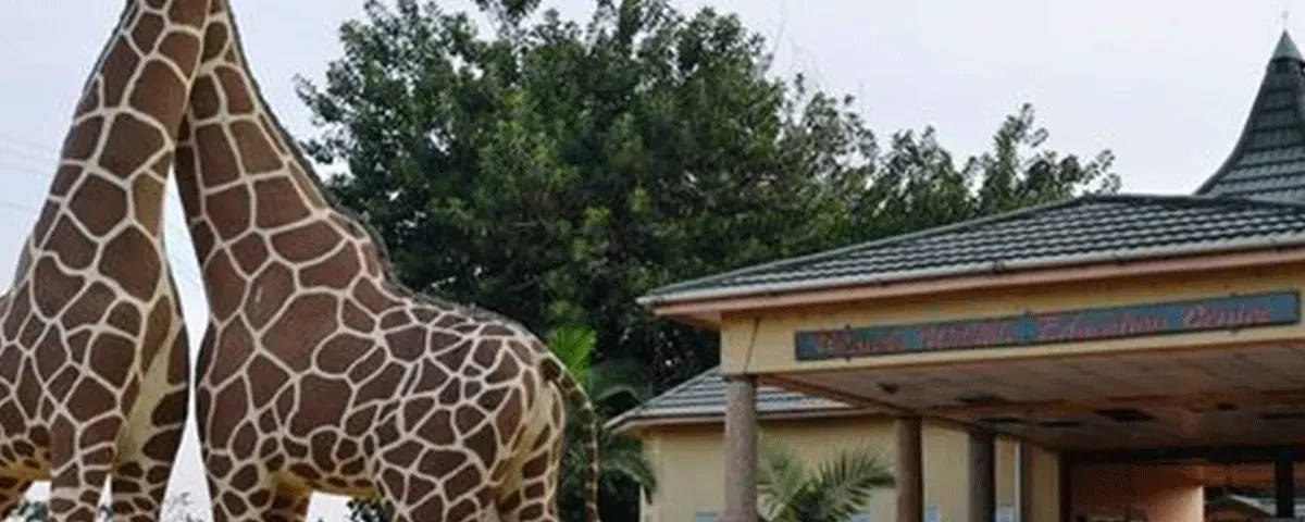 Day Trip to Entebbe Zoo 