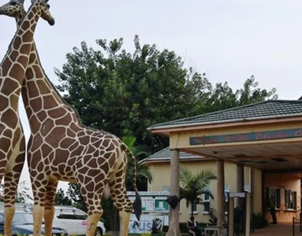 Day Trip to Entebbe Zoo 