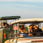 Game Drive in Murchison Falls National Park
