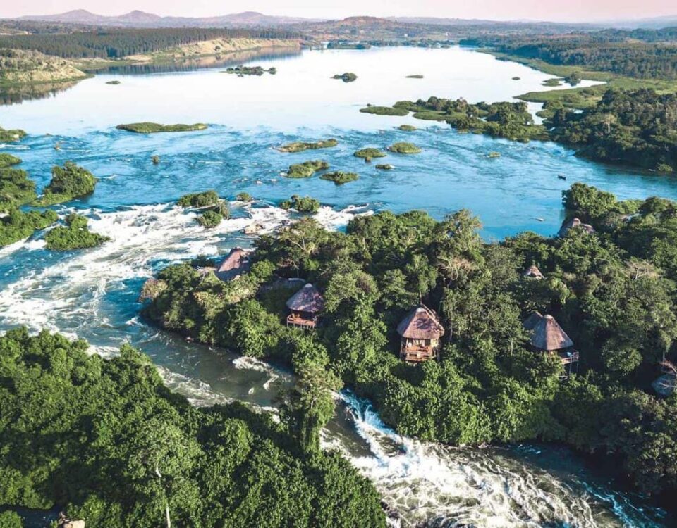 Explore the Source of the Nile in Jinja