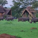 What Types of Accommodation Are Available Near Ziwa Rhino Sanctuary?