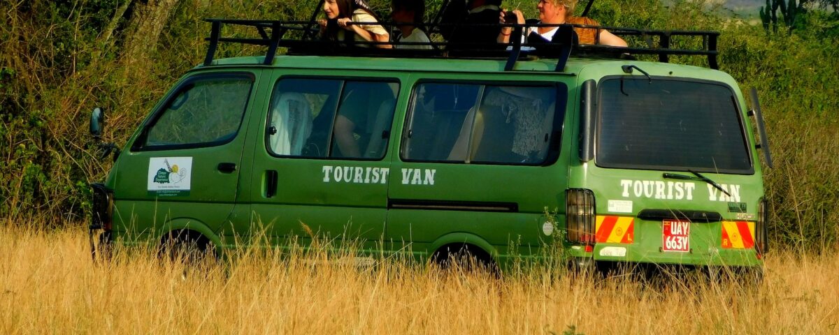What Are the Best National Parks in Uganda for Game Drives
