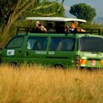 What Are the Best National Parks in Uganda for Game Drives