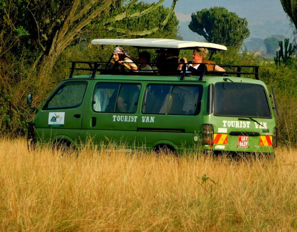 What Are the Best National Parks in Uganda for Game Drives