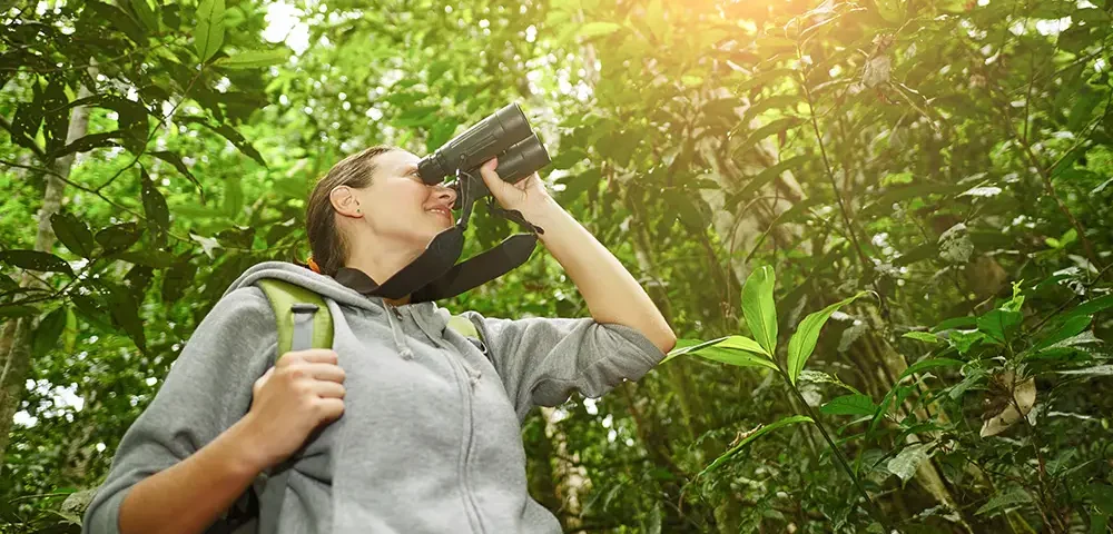 Can I Rent Binoculars for Birding Safaris in Uganda?