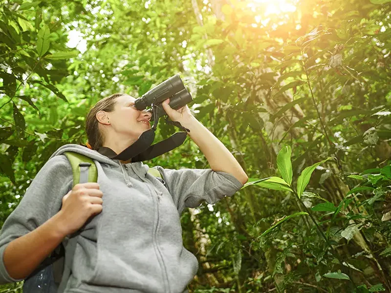 Can I Rent Binoculars for Birding Safaris in Uganda?