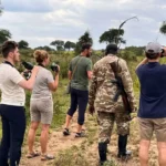 Are Armed Rangers Available During Walking Safaris in Uganda?