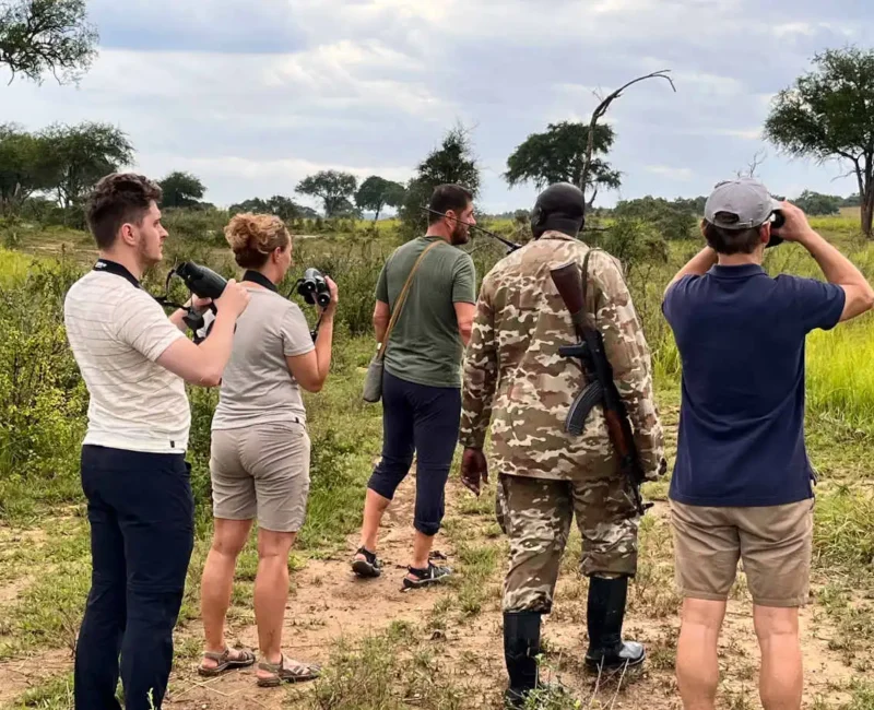 Are Armed Rangers Available During Walking Safaris in Uganda?