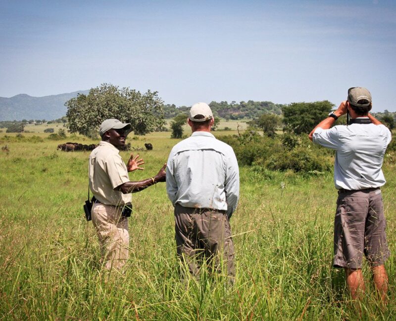 Can I Take Photos During a Walking Safari in Uganda?