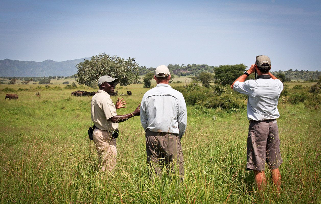 Can I Take Photos During a Walking Safari in Uganda?