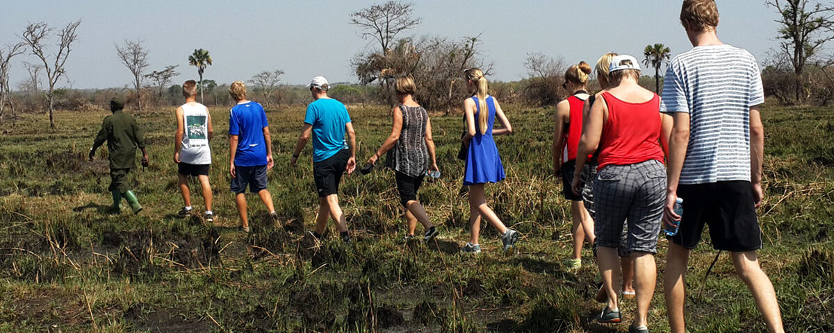 Do I Need Special Permits for a Walking Safari in Uganda?