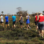 Do I Need Special Permits for a Walking Safari in Uganda?